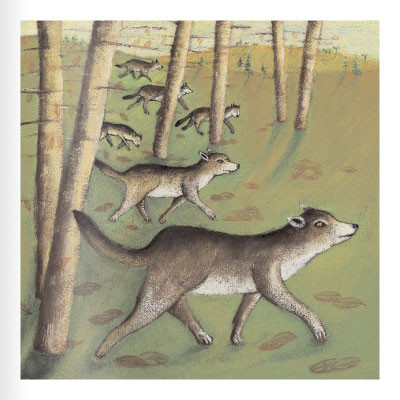 Seitenvorschau Der Wolf